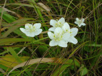 �͂��B���ł��ˁB